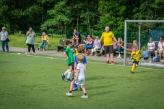 DSC_0018 DSC_0018