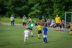 DSC_0019 DSC_0019