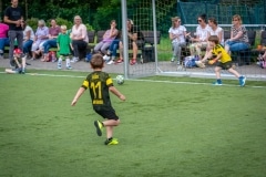 DSC_0202 DSC_0202