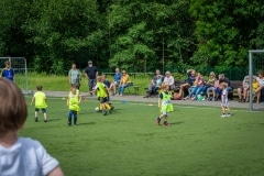 DSC_0318 DSC_0318