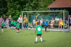 DSC_0391 DSC_0391