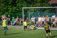 DSC_0394 DSC_0394