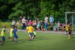 DSC_0455 DSC_0455