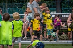 DSC_0535 DSC_0535
