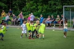DSC_0572 DSC_0572