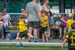 DSC_0574 DSC_0574