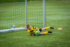 DSC_0597 DSC_0597