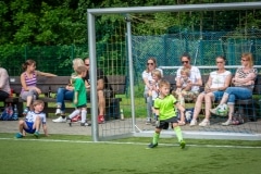 DSC_0651 DSC_0651