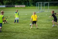 DSC_0679 DSC_0679