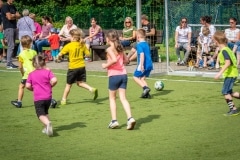 DSC_0696 DSC_0696