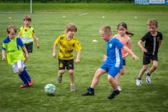 DSC_0710 DSC_0710