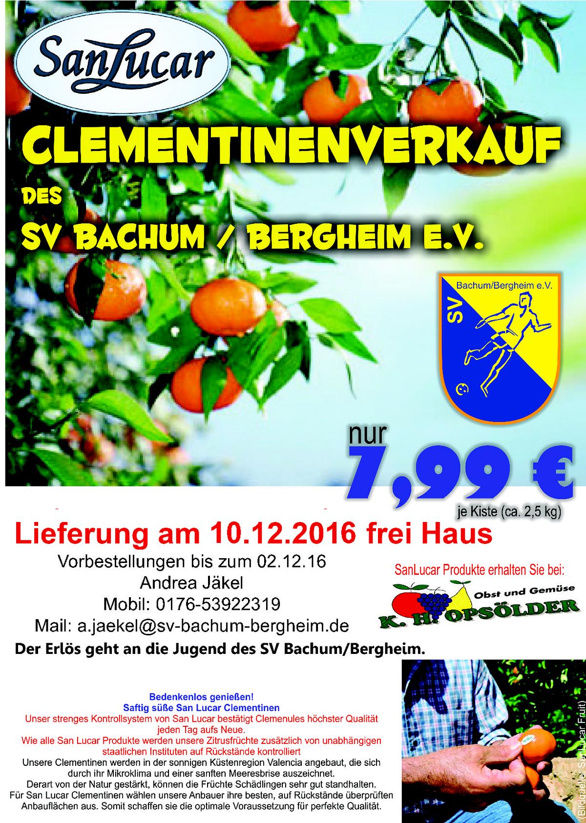 clementinen 2016 Bachum